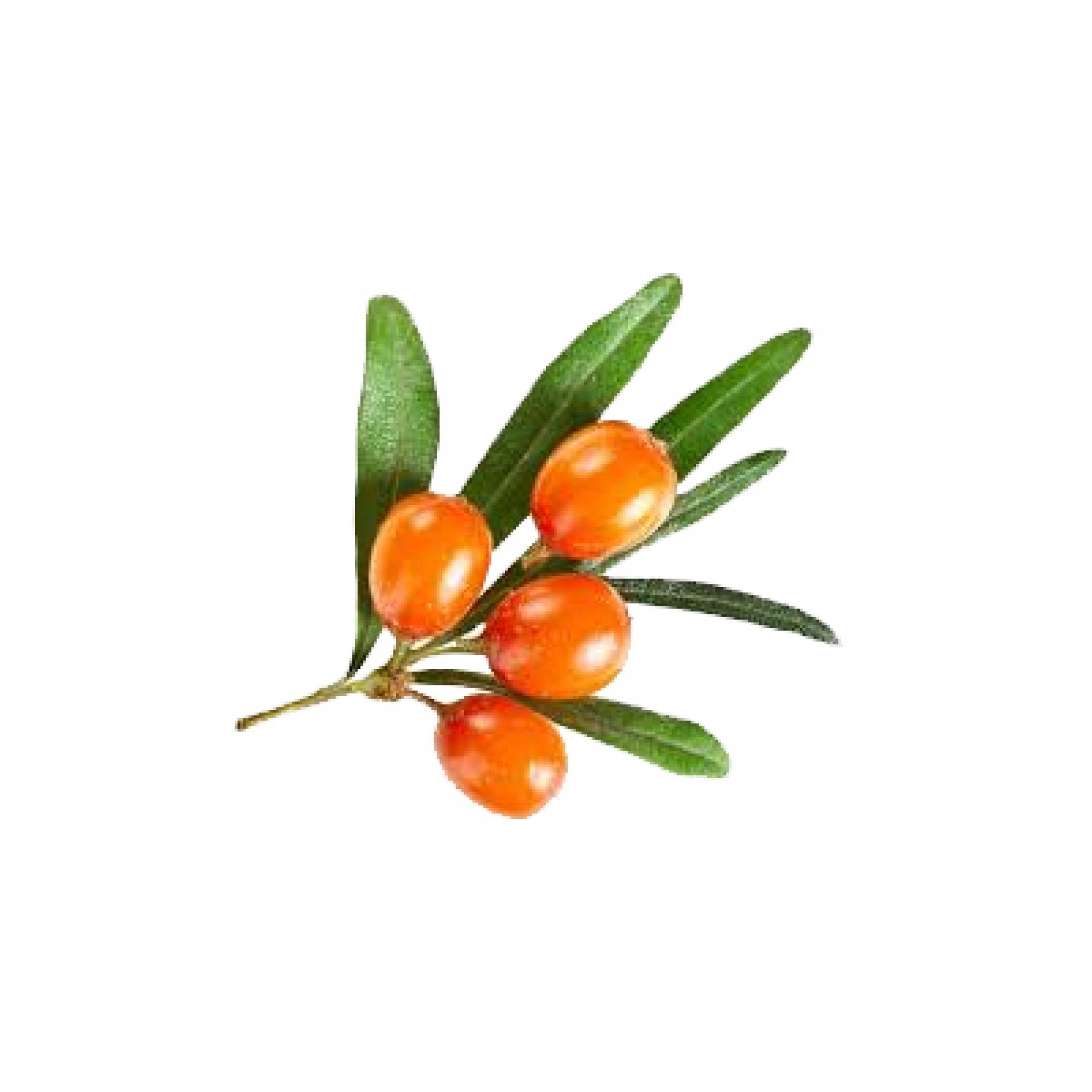 Příběhy z cest za dodavateli: jak vybíráme to nejlepší ovoce