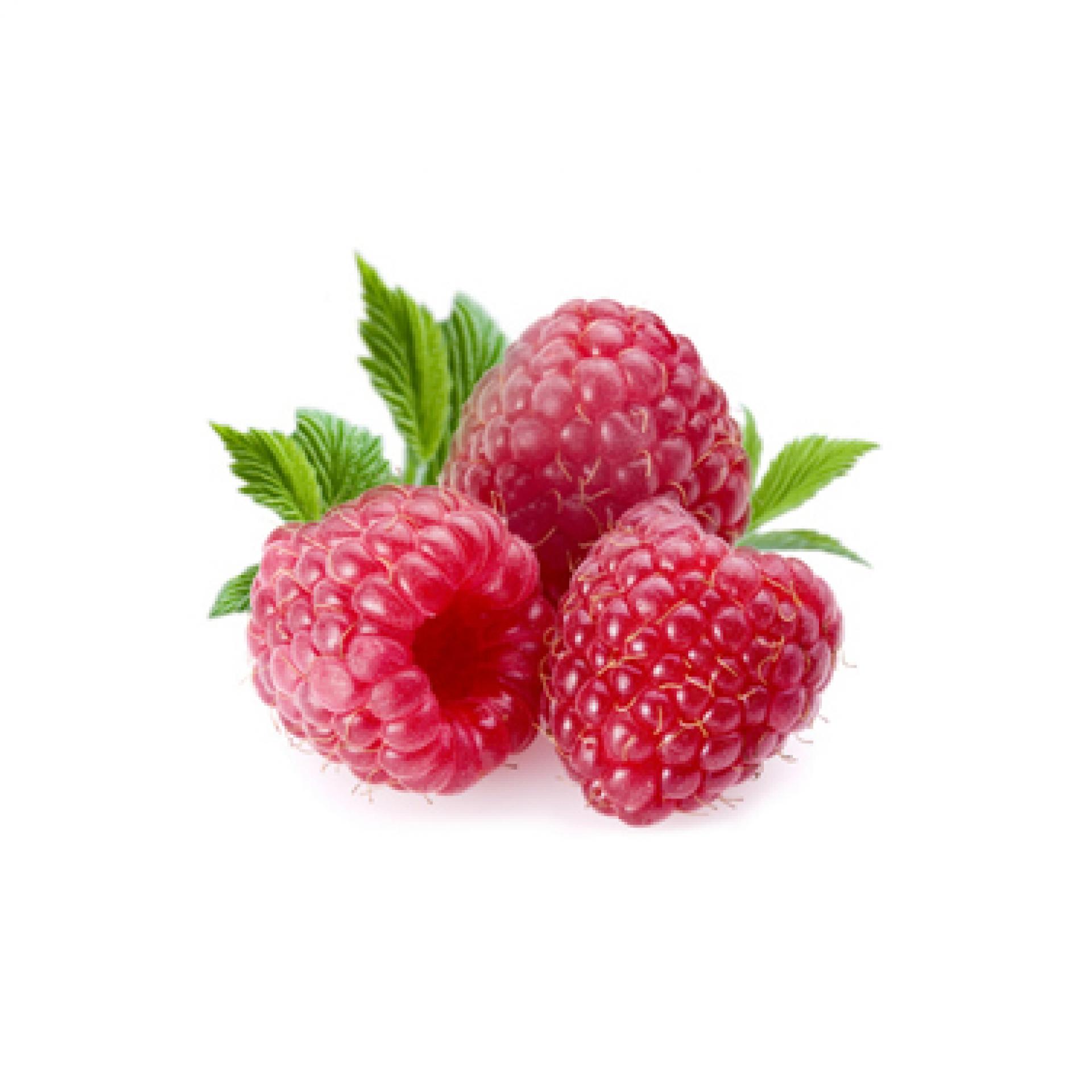 Mražené ovoce pro zmrzlinárny: průvodce výběrem ingrediencí